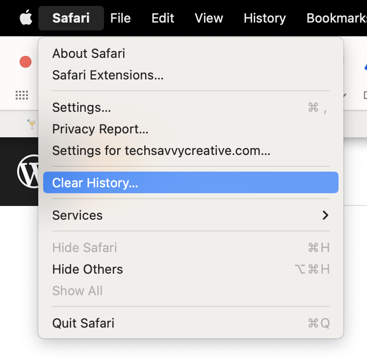 history clear in safari